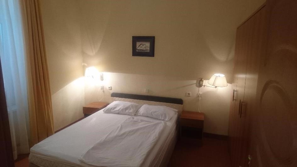 Hotel Vila Ruzica- Glavna Zgrada I Depandanse 茨里克韦尼察 外观 照片