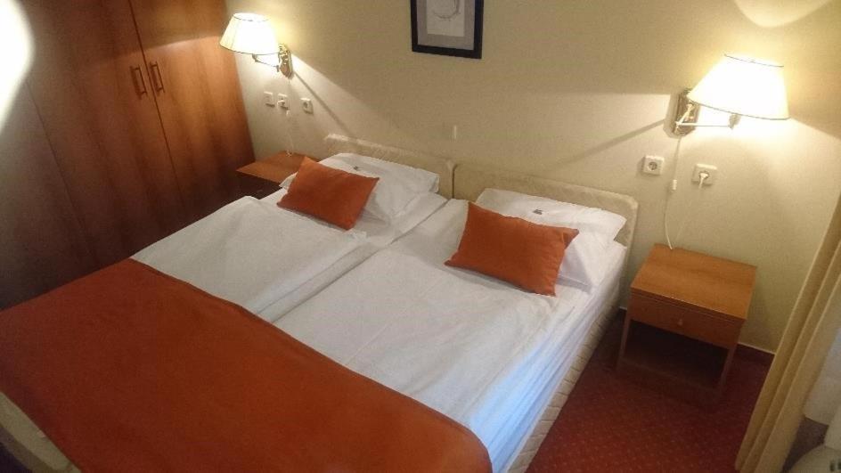 Hotel Vila Ruzica- Glavna Zgrada I Depandanse 茨里克韦尼察 外观 照片