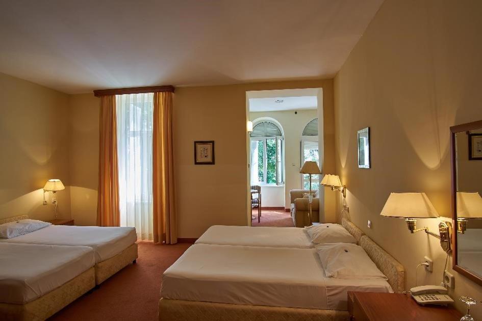 Hotel Vila Ruzica- Glavna Zgrada I Depandanse 茨里克韦尼察 外观 照片