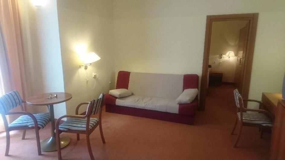 Hotel Vila Ruzica- Glavna Zgrada I Depandanse 茨里克韦尼察 外观 照片