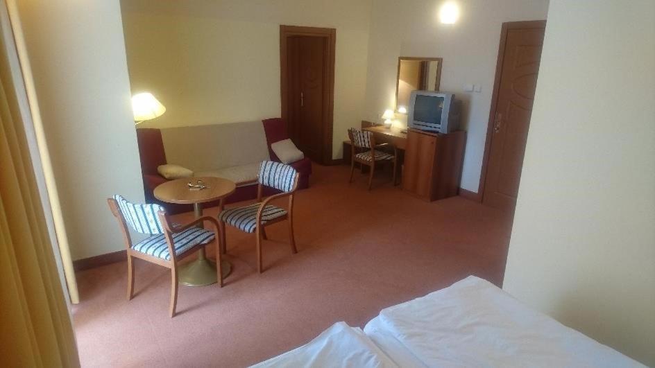 Hotel Vila Ruzica- Glavna Zgrada I Depandanse 茨里克韦尼察 外观 照片
