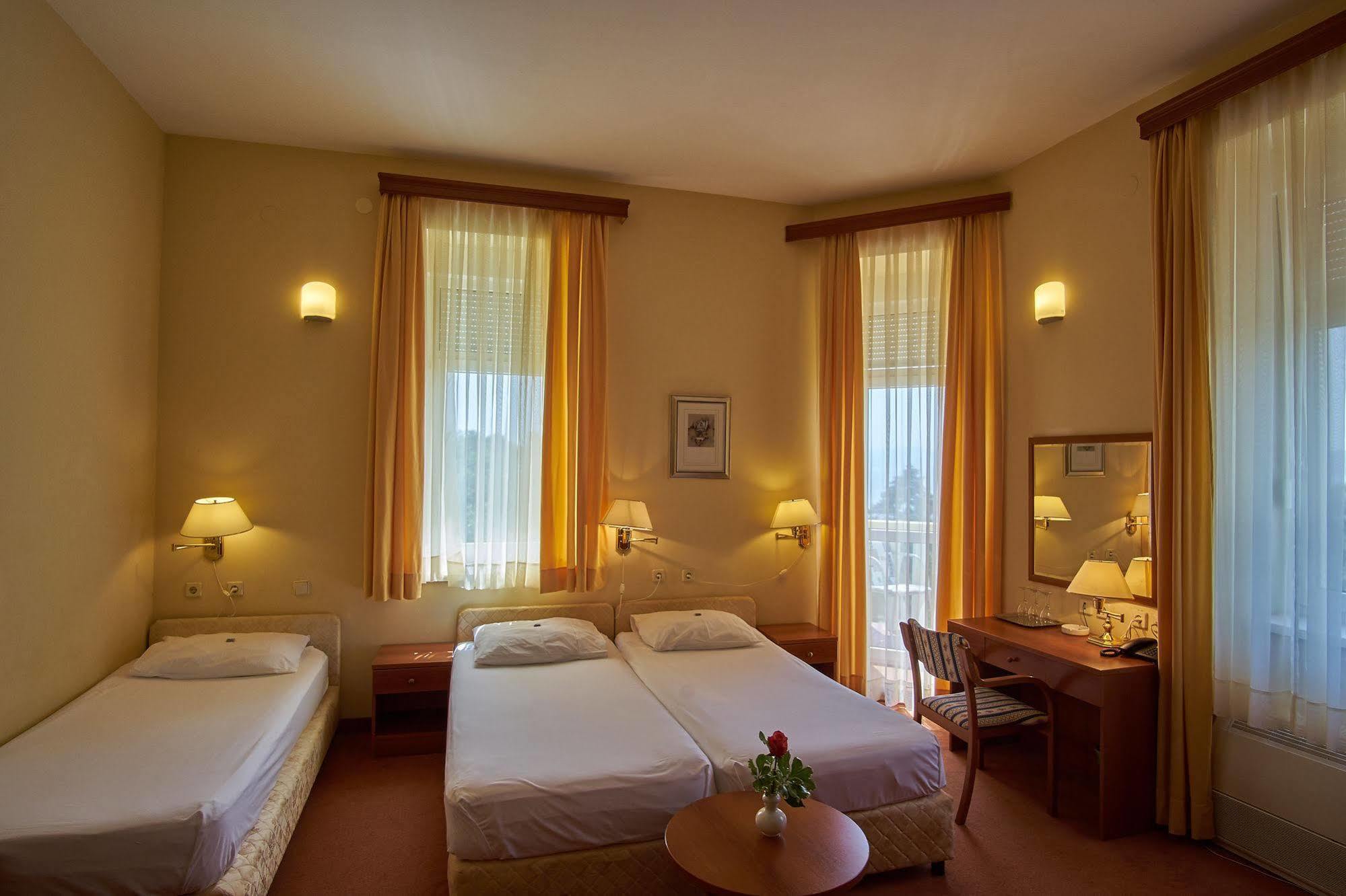 Hotel Vila Ruzica- Glavna Zgrada I Depandanse 茨里克韦尼察 外观 照片
